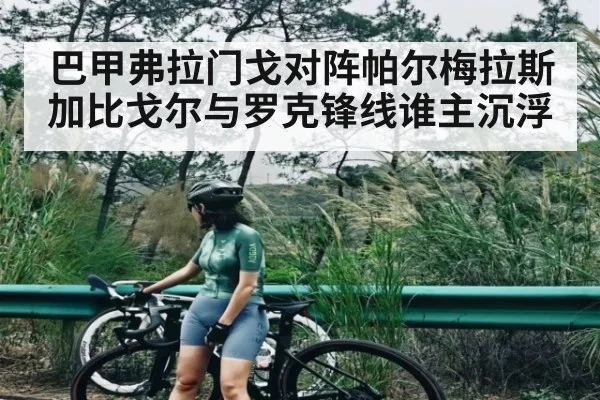巴甲弗拉门戈对阵帕尔梅拉斯 加比戈尔与罗克锋线谁主沉浮