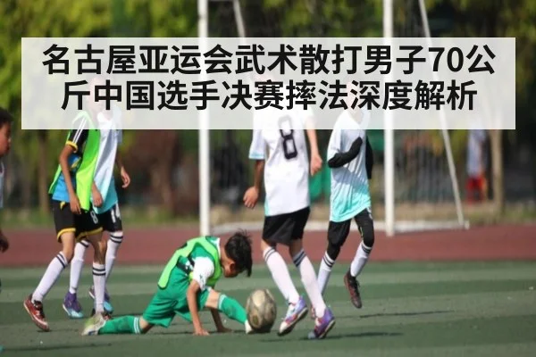 名古屋亚运会武术散打男子70公斤中国选手决赛摔法深度解析