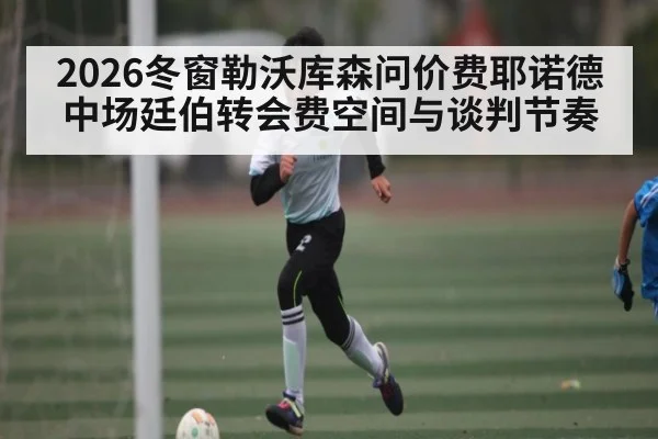 2026冬窗勒沃库森问价费耶诺德中场廷伯转会费空间与谈判节奏